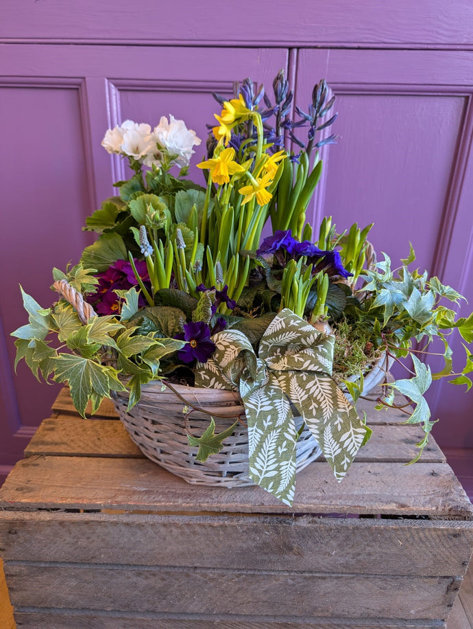 Planted Arrangement