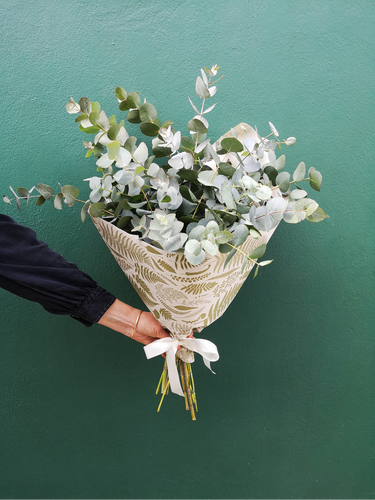 Eucalyptus Bunch