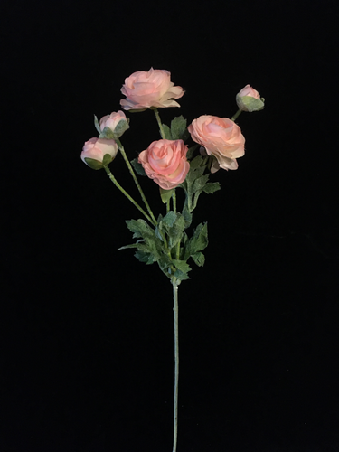 Pink Silk Ranunculus