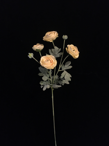 Yellow Silk Ranunculus