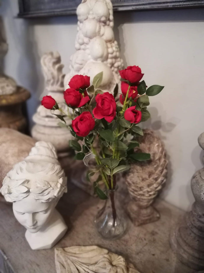 Single Stem Red Rose Cluster
